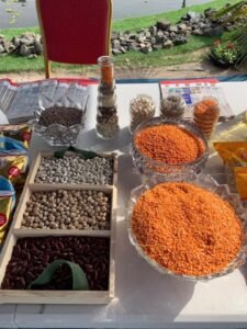 WhatsApp-Image-2022-07-25-at-1.09.02-PM